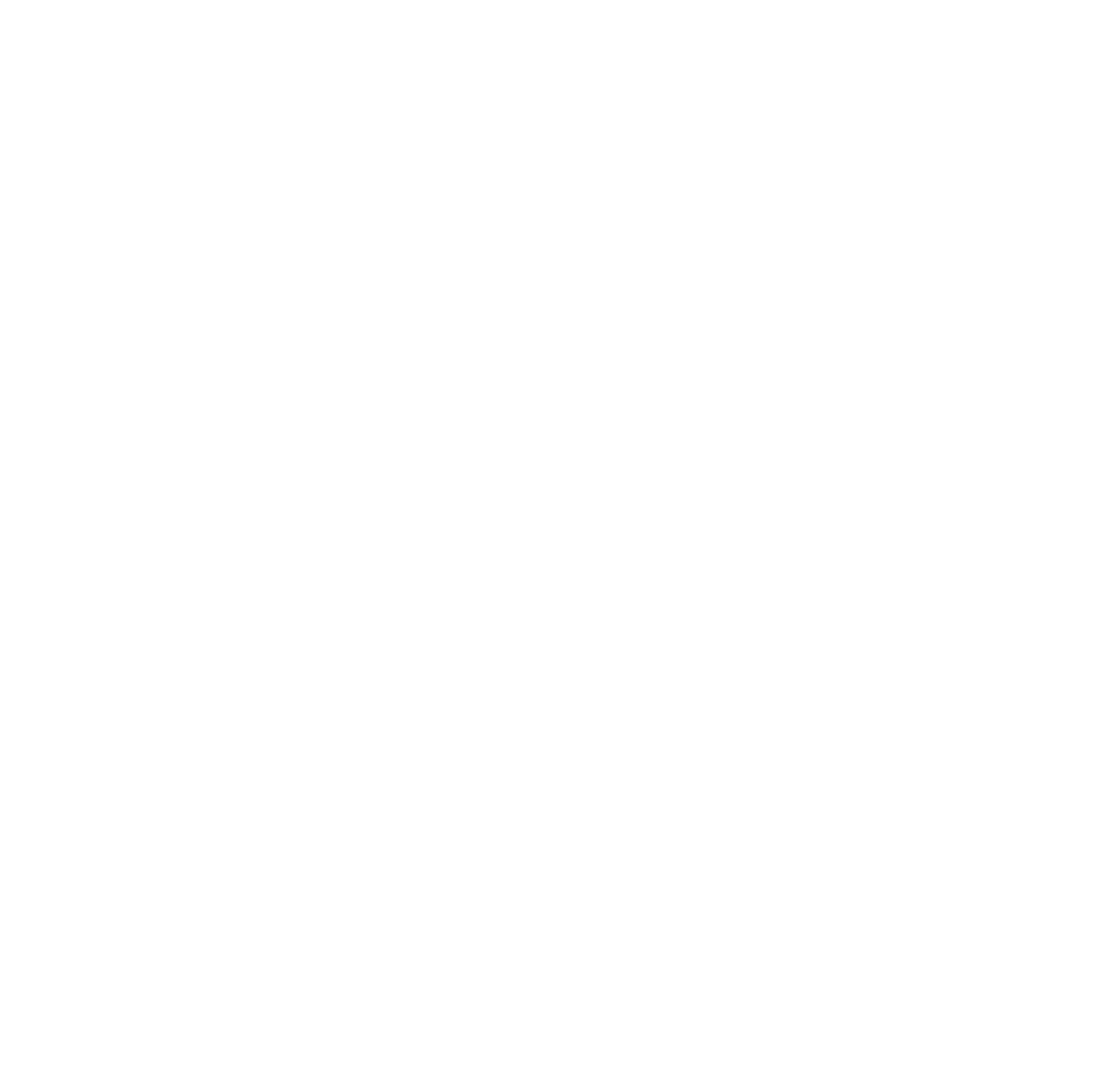 Alace Group Logo